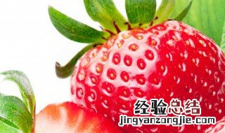 冬天草莓可以怎么吃 冬天草莓的吃法