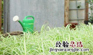 印度尼西亚发展热带种植园农业的优势条件 你真的了解吗？