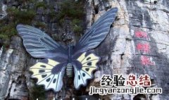 蝴蝶泉注释 蝴蝶泉的译文什么意思