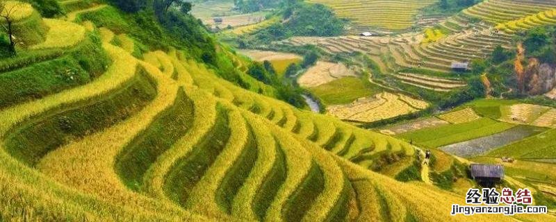 农村建设美丽乡村有哪些项目泰安 农村建设美丽乡村有哪些项目