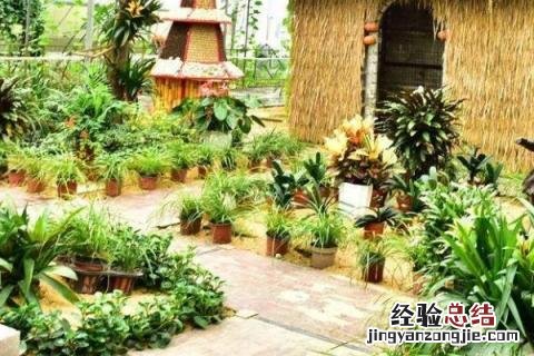 农村建设美丽乡村有哪些项目泰安 农村建设美丽乡村有哪些项目