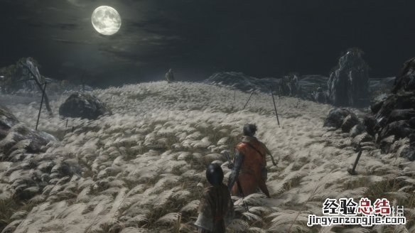 只狼影逝二度高伤害技能介绍 只狼 影逝二度招式怎么用