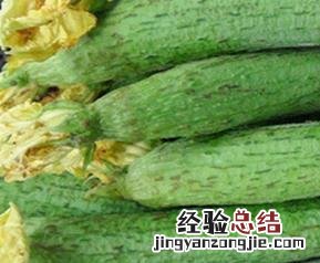 吃丝瓜的好处有哪些 吃丝瓜的好处有哪些呢