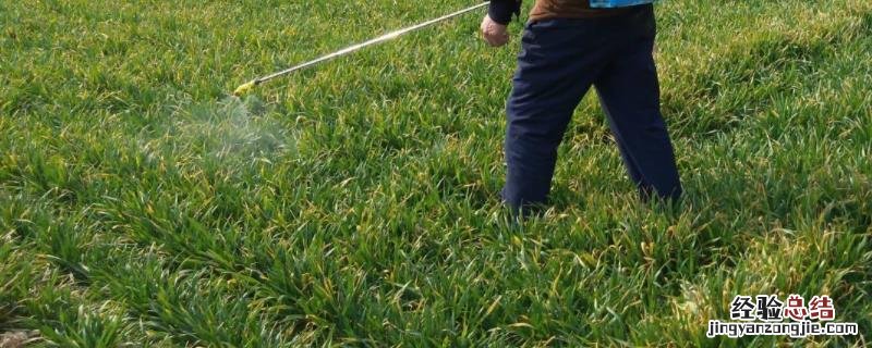 麦地除草剂打多久下雨没事，低于什么温度不能打除草剂