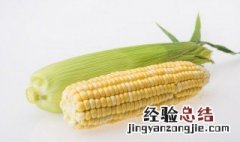 空气炸锅烤玉米要多久 空气炸锅玉米烤多久