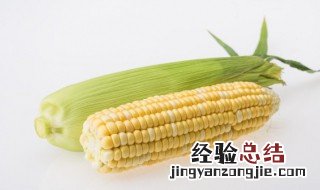 空气炸锅烤玉米要多久 空气炸锅玉米烤多久