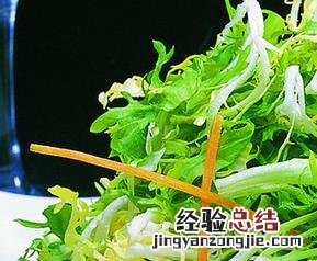 苦菊的功效与作用与副作用 苦菊的功效与作用