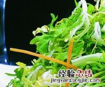 苦菊的功效与作用与副作用 苦菊的功效与作用