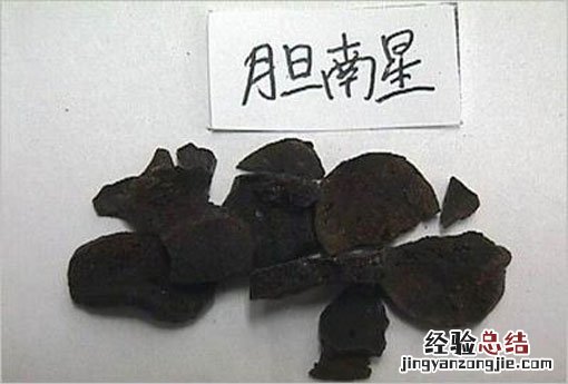 胆南星与天南星的区别 胆南星
