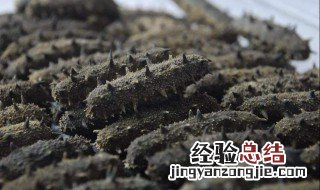 晒干了的海参怎么做的吃呢 晒干了的海参怎么做的吃