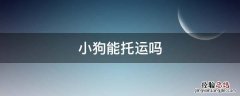 狗可以托运吗? 小狗能托运吗