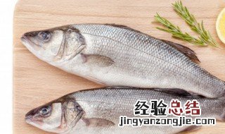 海鲈鱼的做法 白蕉海鲈鱼的做法