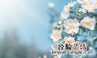 喜欢别人的英文和字 喜欢别人的英文文案