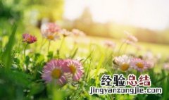 高冷英文文案无关爱情 高冷英文文案无关爱情句子