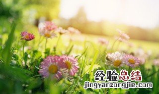 高冷英文文案无关爱情 高冷英文文案无关爱情句子