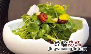 田七菜叶的做法大全 怎么做田七菜叶