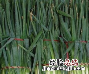 大葱的营养价值 大葱的营养价值视频