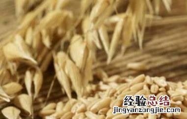 女人长期吃燕麦的好处 长期吃燕麦的好处