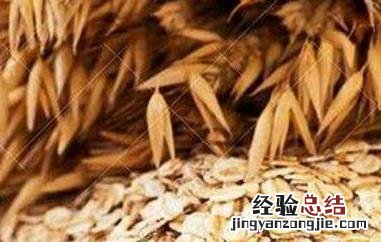 女人长期吃燕麦的好处 长期吃燕麦的好处