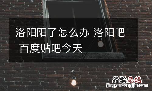 洛阳阳了怎么办 洛阳吧 百度贴吧今天