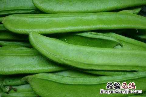 浙江1一12月种蔬菜表图片 1一12月种蔬菜表