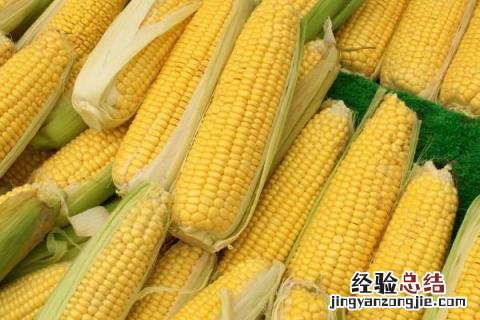 北玉1507玉米种 北玉1521品种介绍