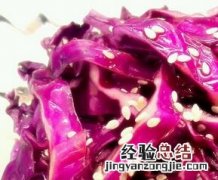 紫甘蓝的营养价值 紫甘蓝的营养价值及功效与作用