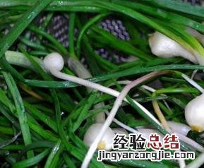 小根蒜的功效与作用及禁忌 小根蒜的功效与作用