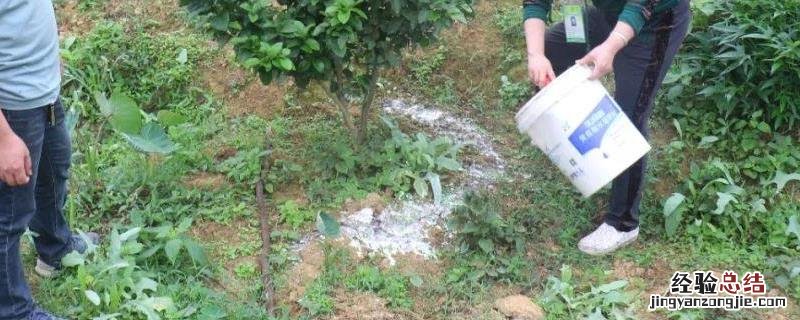 杀地下害虫最长效农药颗粒剂，我国农药种类什么占大多数