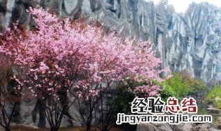 桃花源记中的古今异义词 都是文言文常用词哦