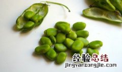 蚕豆仔怎么做最好吃 蚕豆子的做法大全家常