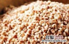 高粱米的营养价值是什么 高粱米的营养价值