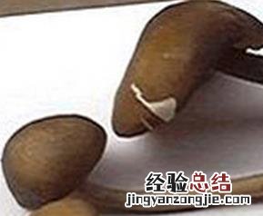 长根菇怎么做好吃视频 长根菇怎么做好吃