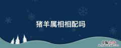 猪羊属相相配吗,生肖猪与生肖羊 猪羊属相相配吗