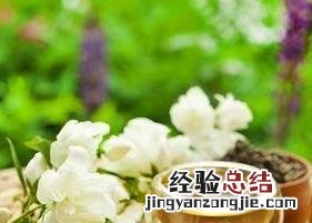 茶叶水的功效与作用有哪些 茶叶水的功效与作用有哪些禁忌