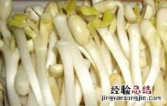 花生芽的营养价值与功效 花生芽的营养和功效
