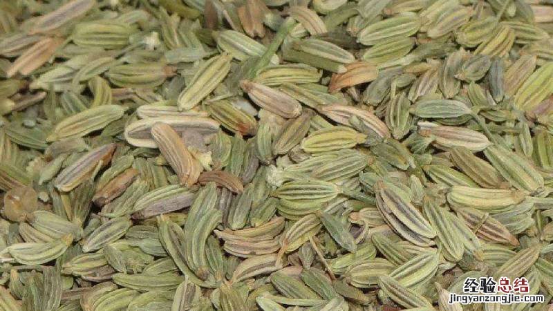食物中的五味是指哪些 饮食中的五香都是什么