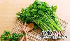 香菜什么时候有 香菜哪个季节有