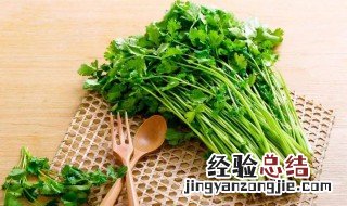 香菜什么时候有 香菜哪个季节有