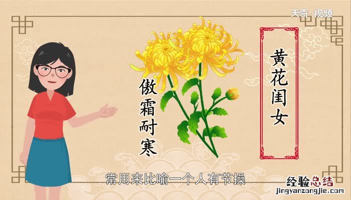 黄花闺女中的黄花指的是什么意思 黄花闺女中的黄花指的是什么