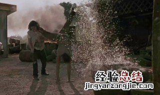 拳霸有几部电影 每一部都讲了什么故事