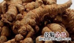 田七作用与功效是什么 田七作用与功效