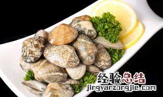 花贝的做法大全图解 花贝的做法