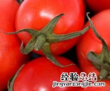 吃小西红柿能减肥吗 西红柿能减肥吗