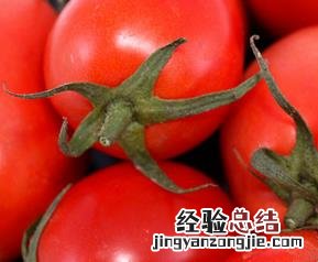 吃小西红柿能减肥吗 西红柿能减肥吗