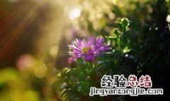 如何做人做事人生感悟 如何做人做事有哪些人生感悟