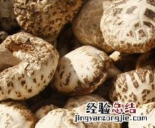 天白花菇的功效与作用 花菇的功效与作用