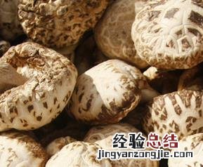 天白花菇的功效与作用 花菇的功效与作用