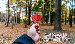 形容秋天的优美段落 形容秋天的优美段落摘抄