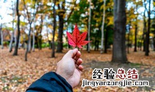 形容秋天的优美段落 形容秋天的优美段落摘抄